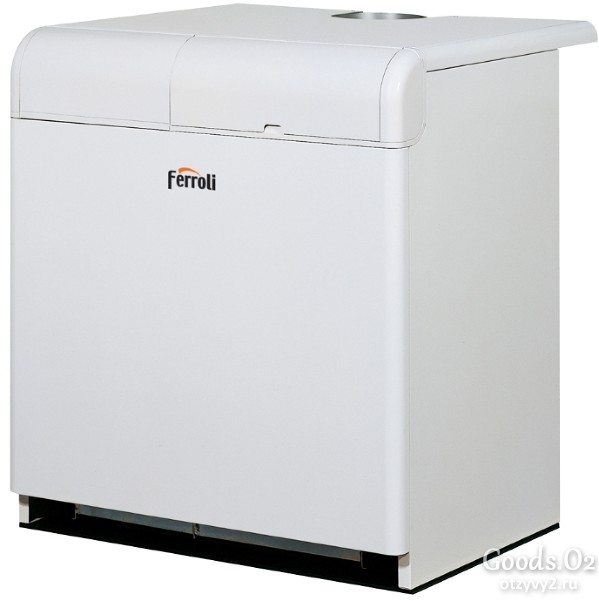 Конвекционный напольный газовый котел Pegasus T 45