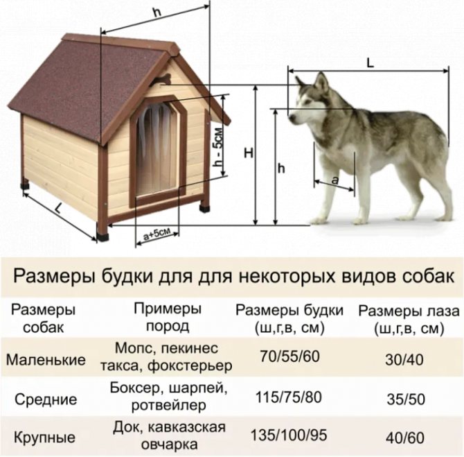 собачья будка